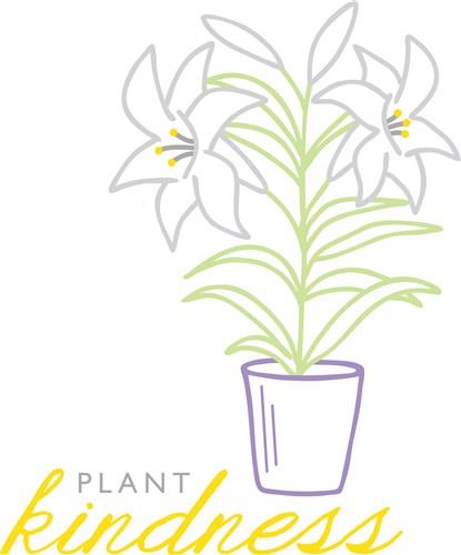 Easter Lily Easter Lily