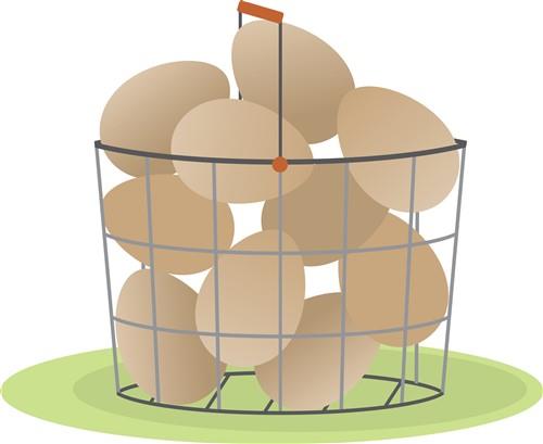 Eggs Basket Eggs Basket