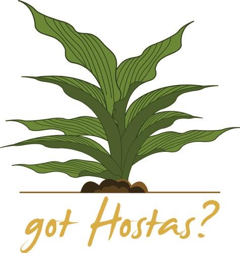 Got Hostas Got Hostas
