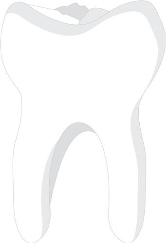 Molar Tooth Molar Tooth