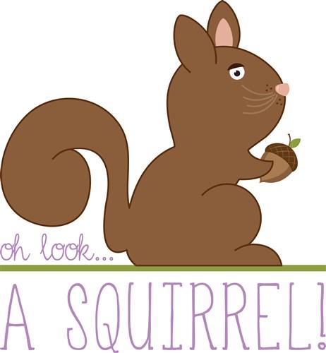Oh Look Squirrel Oh Look Squirrel
