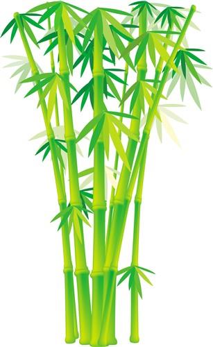 Art Print of Green stems of bamboo forest