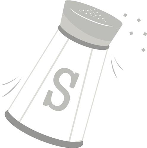 Salt Shaker Salt Shaker