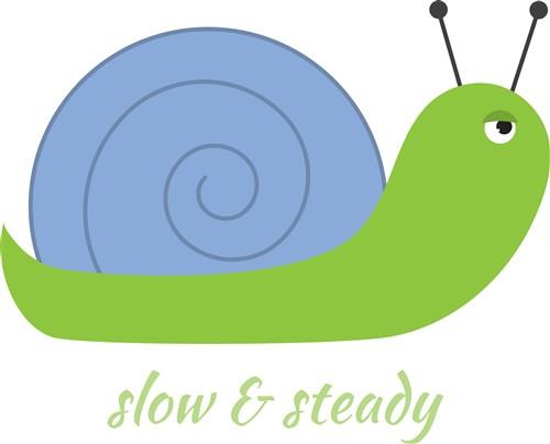 Slow & Steady Slow & Steady