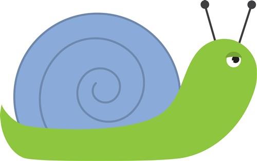 Snail Snail
