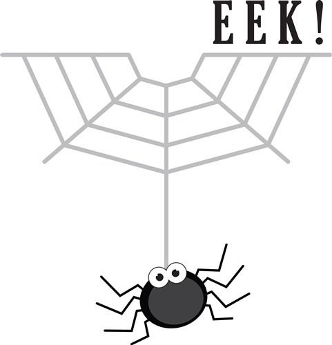 Spider Web Half Spider Web Half