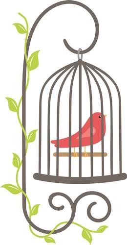 Spring Bird Cage Spring Bird Cage