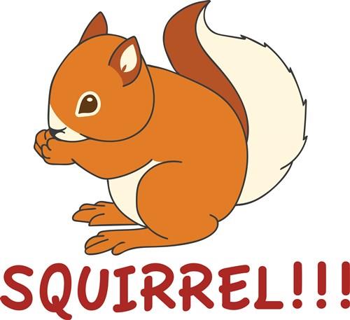 Squirrel Squirrel