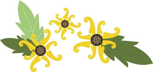 Sunflowers Sunflowers