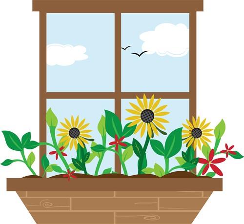 Window Flowers Window Flowers
