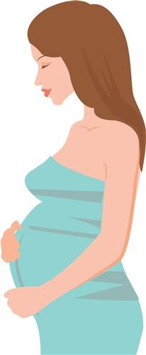 Baby Bump Baby Bump