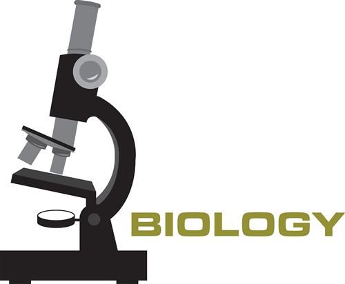 Biology Biology