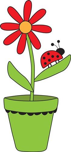 Daisy Planter & Ladybug Daisy Planter & Ladybug