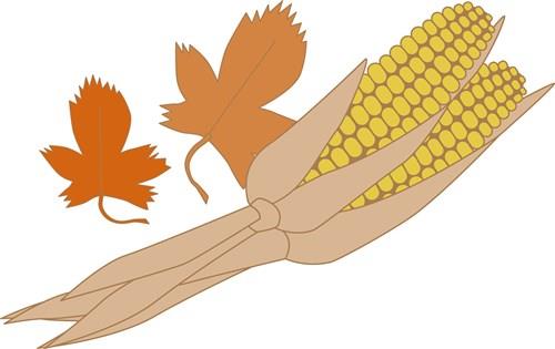 Fall Corn Fall Corn