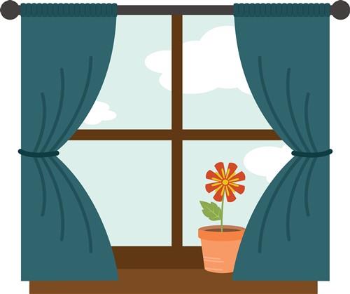 Flower In Window Flower In Window