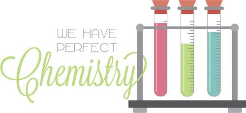 Perfect Chemistry Perfect Chemistry