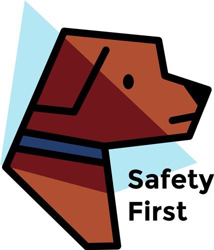 Safety First Dog Safety First Dog