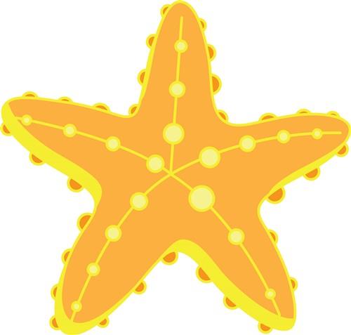 Starfish Starfish