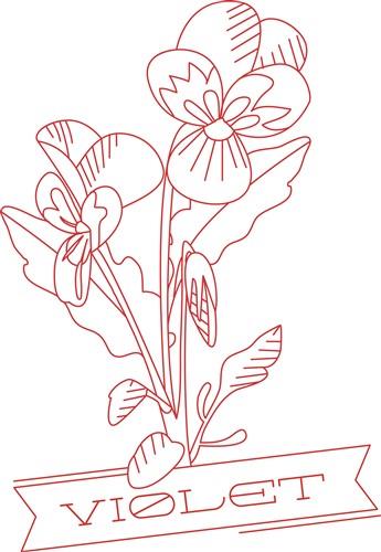 Violet Flower Violet Flower