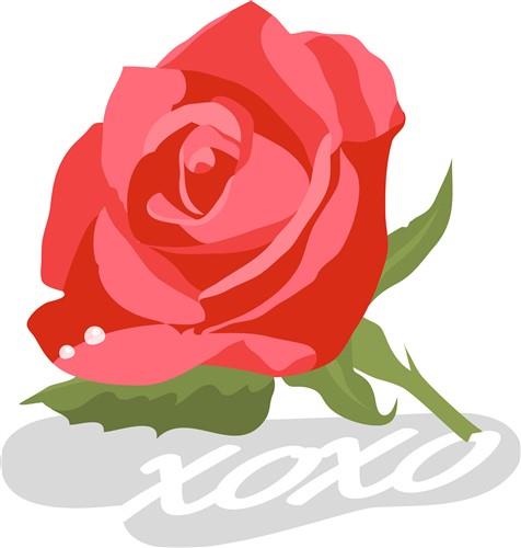 XOXO Rose XOXO Rose