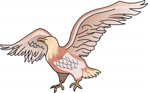 BALD EAGLE BALD EAGLE