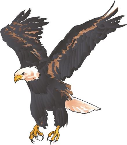 BALD EAGLE BALD EAGLE