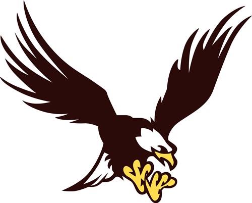 Bald Eagle Bald Eagle