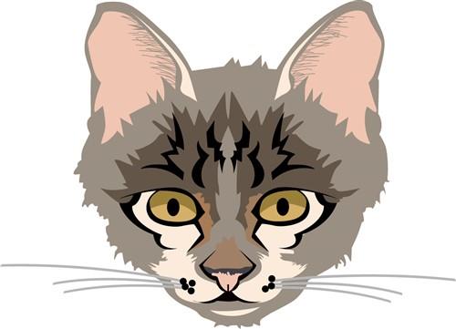 Cat Face Cat Face