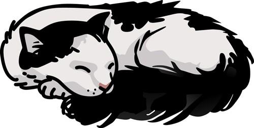 Cat Sleeping Cat Sleeping