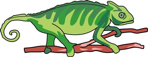 CHAMELEON LIZARD CHAMELEON LIZARD