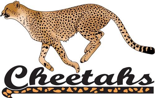CHEETAHS CHEETAHS