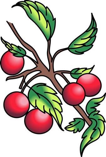 CHERRIES CHERRIES