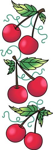 CHERRY BORDER CHERRY BORDER