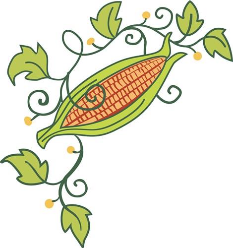 CORN CORN