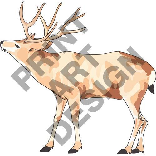 DEER DEER