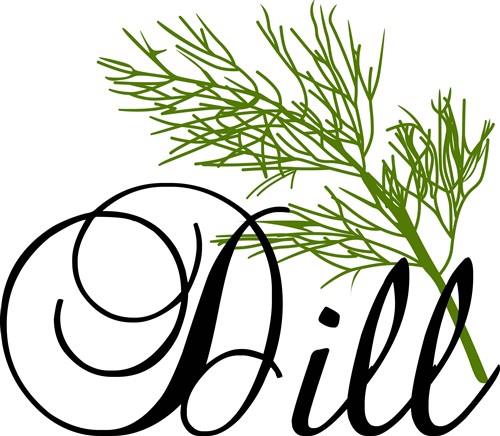 Dill Herb Dill Herb