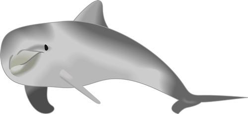 DOLPHIN DOLPHIN