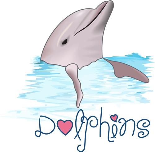DOLPHINS DOLPHINS