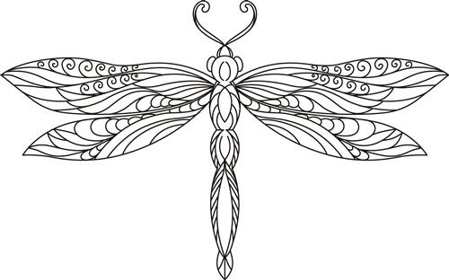 DRAGONFLY DRAGONFLY
