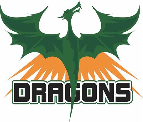 DRAGONS TEAM DRAGONS TEAM