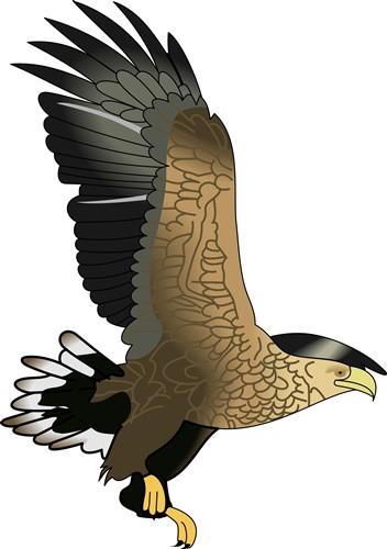 EAGLE EAGLE