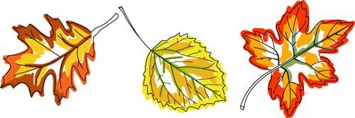 Fall Leaves Border Fall Leaves Border