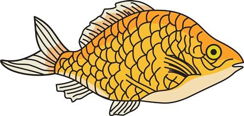 FISH FISH