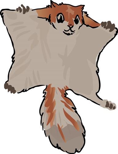 Flying Squirrel Flying Squirrel