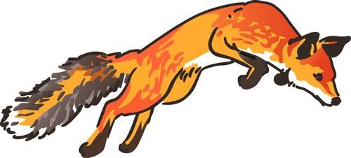 Fox Pounce Fox Pounce