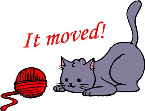 IT MOVED IT MOVED