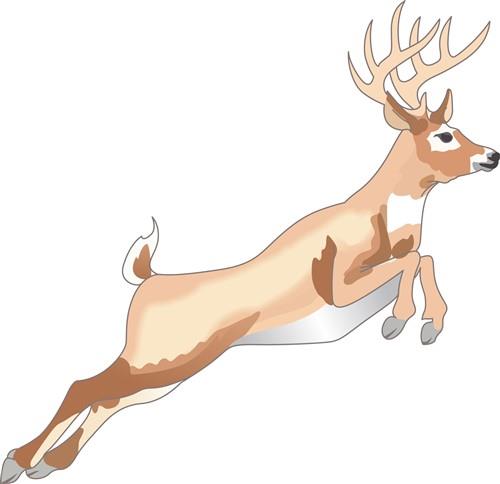LEAPING DEER LEAPING DEER