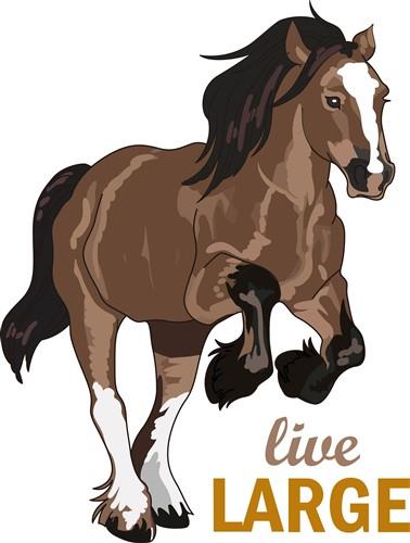 LIVE LARGE LIVE LARGE