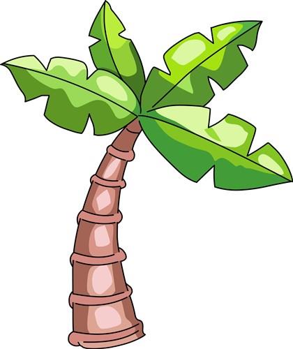 PALM TREE PALM TREE