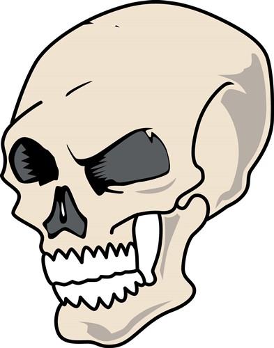 Plain Skull Plain Skull